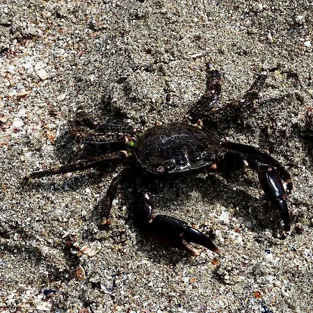 Lora Boutique Apartament